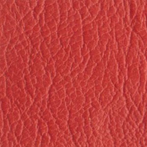 leather sample