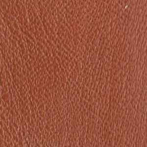 leather sample