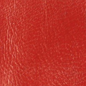 leather sample