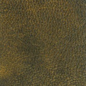 leather sample