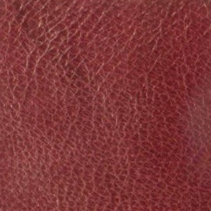 leather sample
