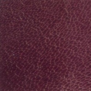 leather sample