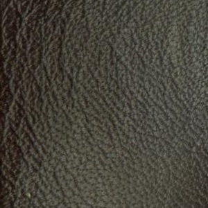 leather sample
