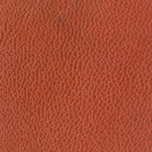 leather sample
