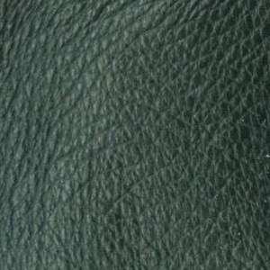 leather sample