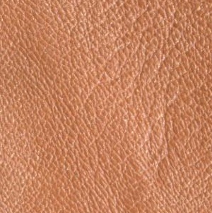 leather sample