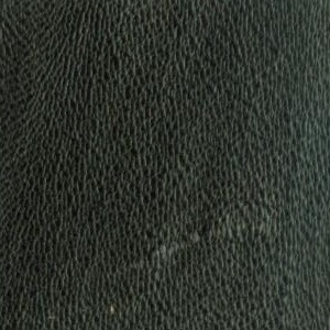 leather sample