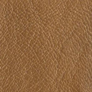 leather sample