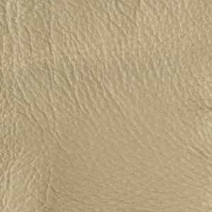 leather sample