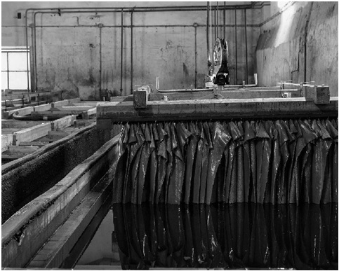 レザーの鞣しの種類と特徴